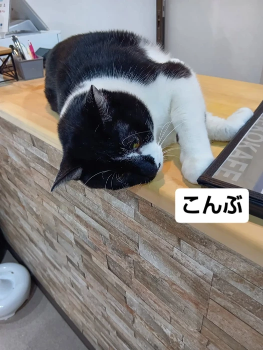 画像1638