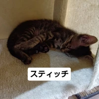 画像1640