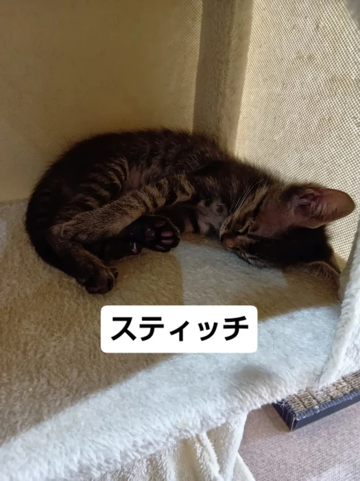 画像1640