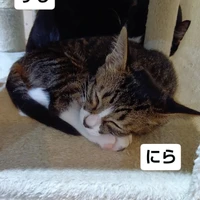 画像1641