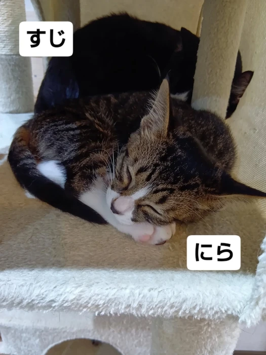画像1641