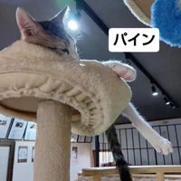 画像1642