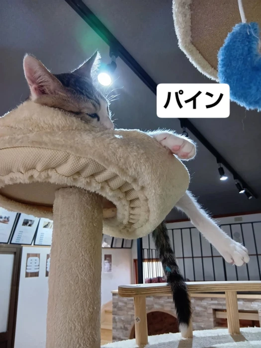 画像1642