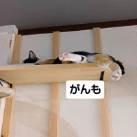 画像1643