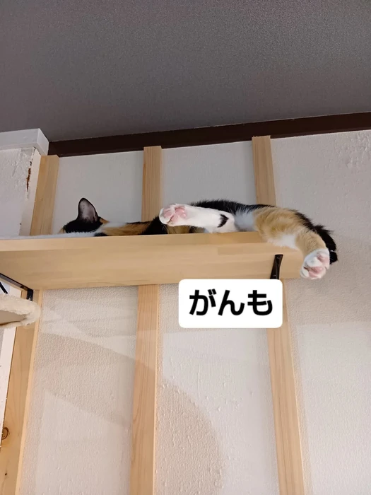 画像1643