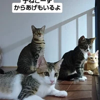 画像1650