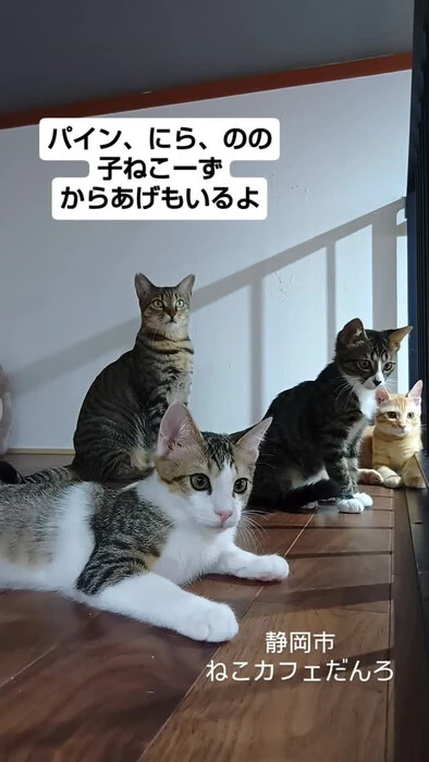 画像1650