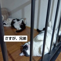 画像1654