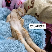 画像1657