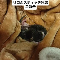 画像1663