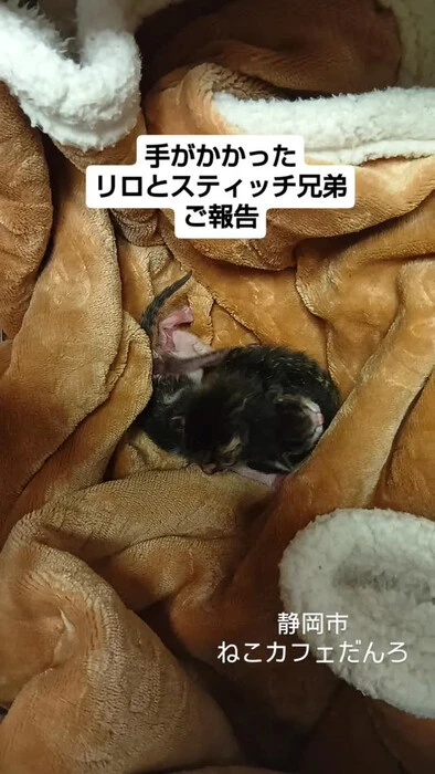 画像1663