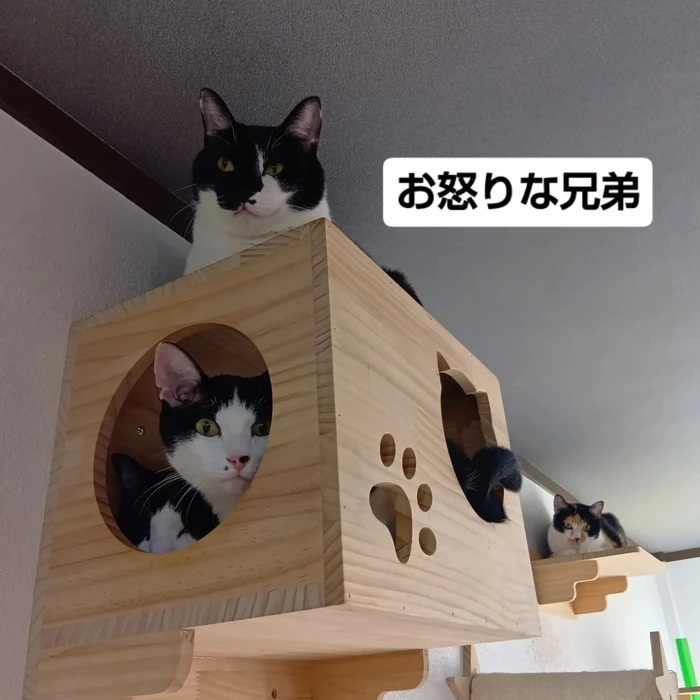 画像1667