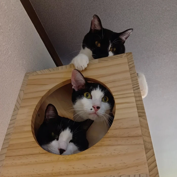 画像1669