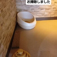 画像1674