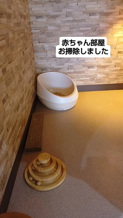 画像1674