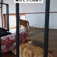 画像1676
