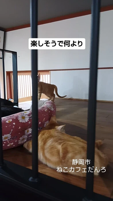 画像1676