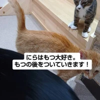 画像1678