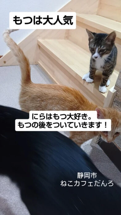 画像1678