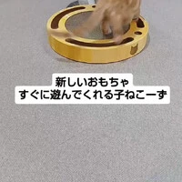 画像1680