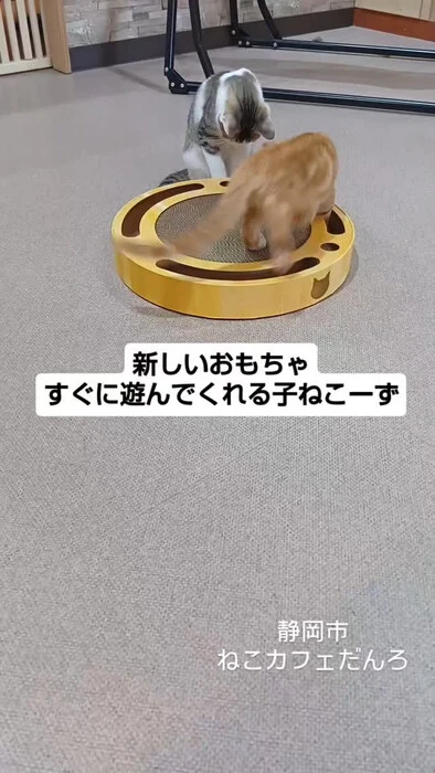 画像1680