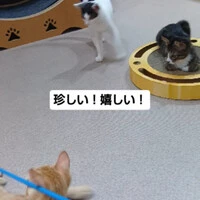 画像1682