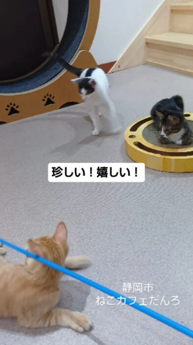 画像1682