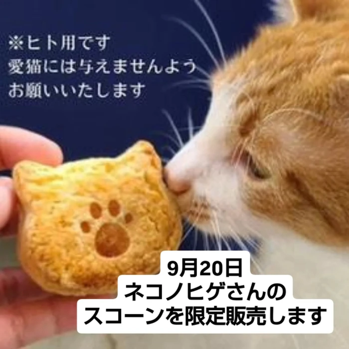 画像1686