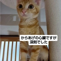 画像1692