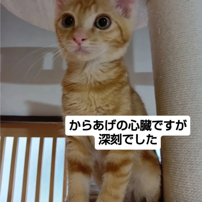 画像1692