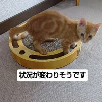 画像1698