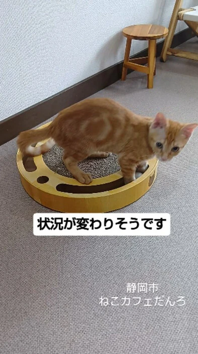 画像1698