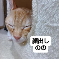 画像1700