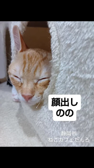 画像1700