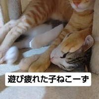 画像1702