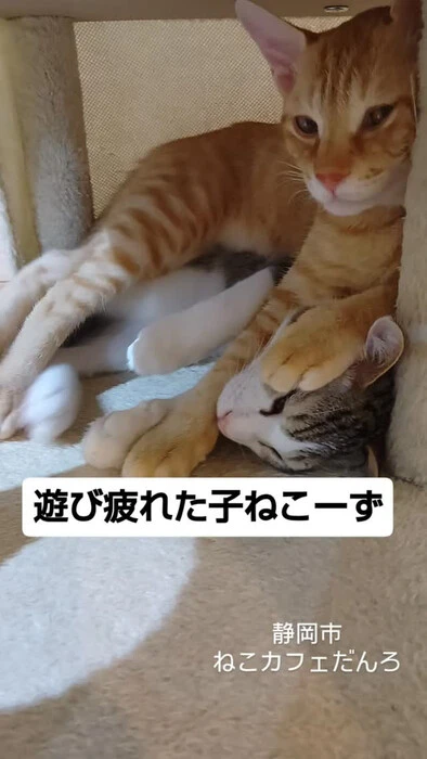 画像1702
