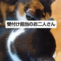 画像1704