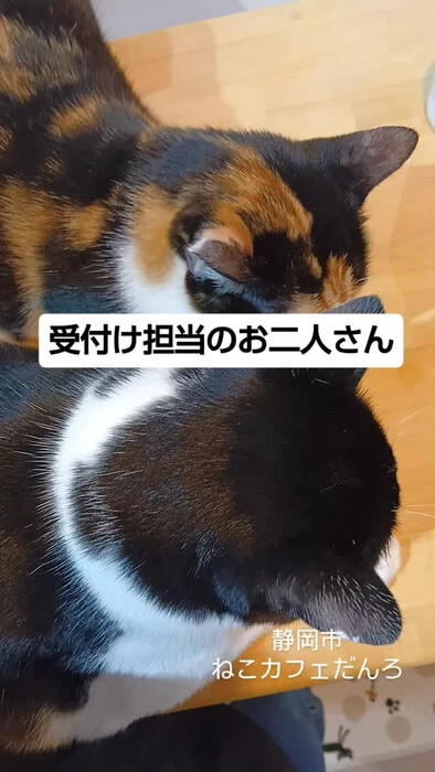 画像1704