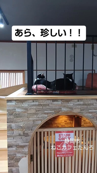 画像1706