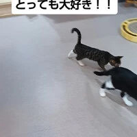 画像1708