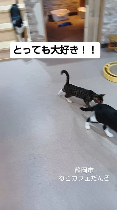 画像1708