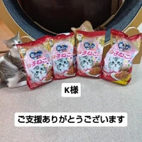 画像1710
