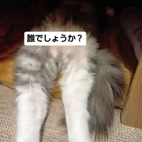 画像1730