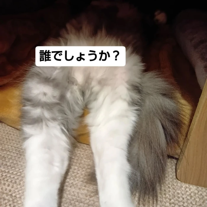 画像1730