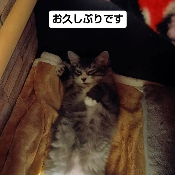 画像1731