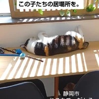 画像1734