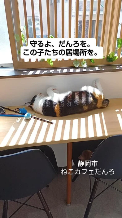 画像1734