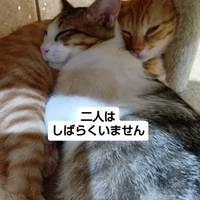 画像1736
