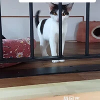 画像1738