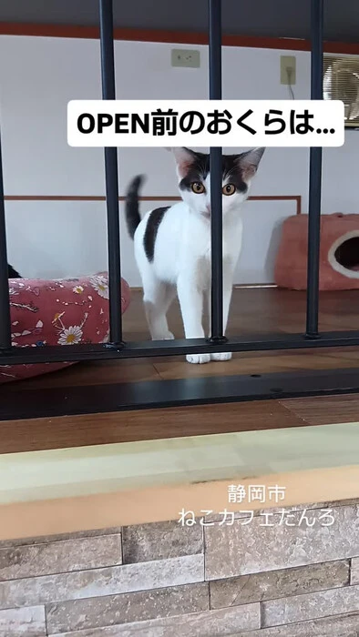画像1738